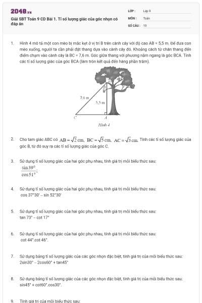 Giải SBT Toán 9 CD Bài 1. Tỉ số lượng giác của góc nhọn có đáp án
