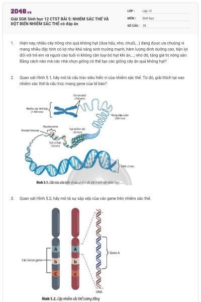 Giải SGK Sinh học 12 CTST BÀI 5: NHIỄM SẮC THỂ VÀ ĐỘT BIẾN NHIỄM SẮC THỂ có đáp án