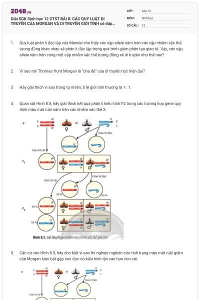 Giải SGK Sinh học 12 CTST BÀI 8: CÁC QUY LUẬT DI TRUYỀN CỦA MORGAN  VÀ DI TRUYỀN GIỚI TÍNH có đáp án