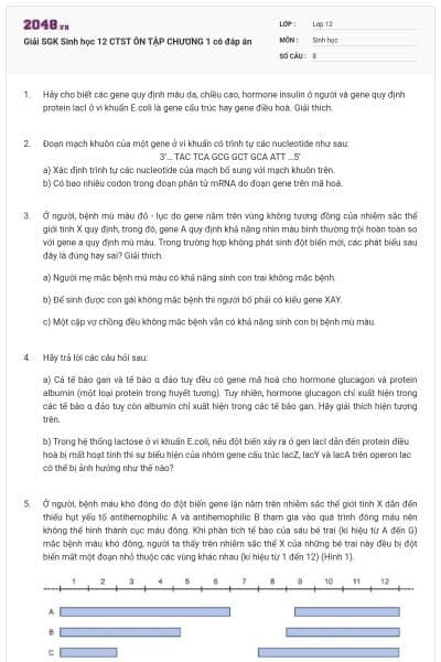 Giải SGK Sinh học 12 CTST ÔN TẬP CHƯƠNG 1 có đáp án