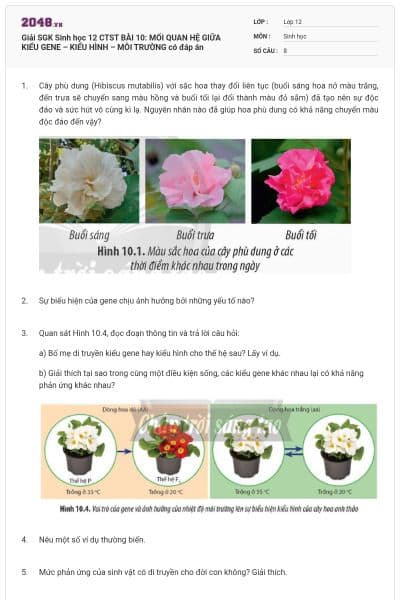 Giải SGK Sinh học 12 CTST BÀI 10: MỐI QUAN HỆ GIỮA KIỂU GENE – KIỂU HÌNH – MÔI TRƯỜNG có đáp án