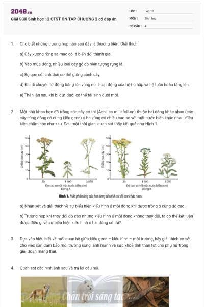Giải SGK Sinh học 12 CTST ÔN TẬP CHƯƠNG 2 có đáp án