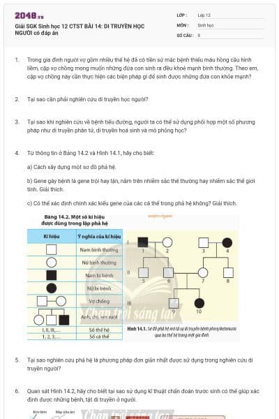 Giải SGK Sinh học 12 CTST BÀI 14: DI TRUYỀN HỌC NGƯỜI có đáp án