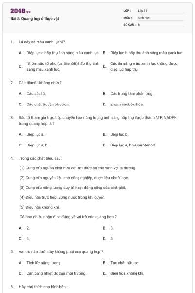 Bài 8: Quang hợp ở thực vật