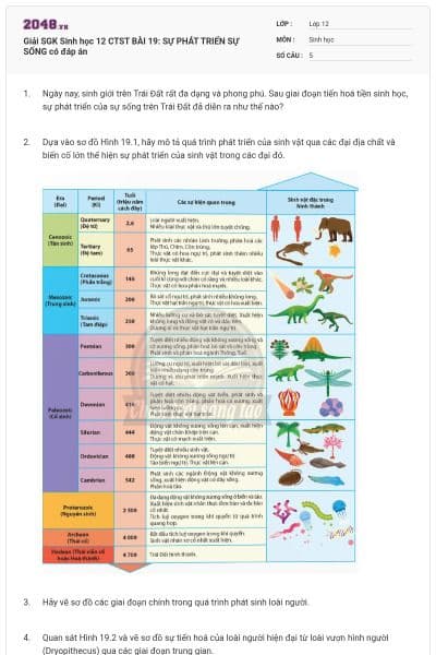 Giải SGK Sinh học 12 CTST BÀI 19: SỰ PHÁT TRIỂN SỰ SỐNG có đáp án