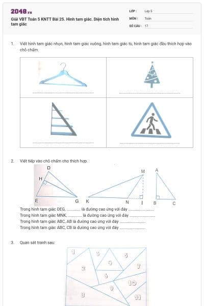 Giải VBT Toán 5 KNTT Bài 25. Hình tam giác. Diện tích hình tam giác