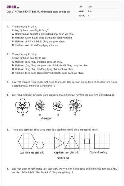Giải VTH Toán 8 KNTT Bài 37. Hình đồng dạng có đáp án