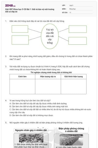 Giải VBT Khoa học 5 CD Bài 1: Đất và bảo vệ môi trường đất có đáp án