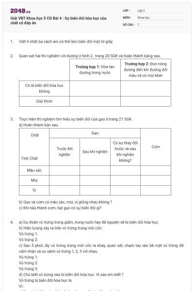 Giải VBT Khoa học 5 CD Bài 4 : Sự biến đổi hóa học của chất có đáp án