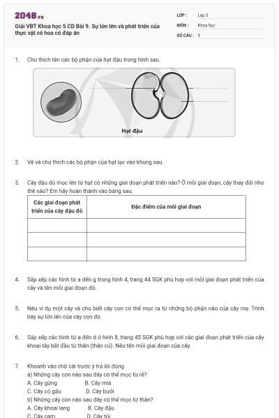 Giải VBT Khoa học 5 CD Bài 9. Sự lớn lên và phát triển của thực vật có hoa có đáp án
