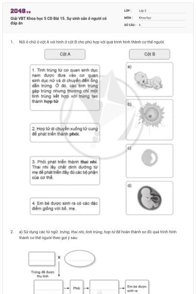 Giải VBT Khoa học 5 CD Bài 15. Sự sinh sản ở người có đáp án