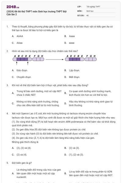 (2024) Đề thi thử THPT môn Sinh học trường THPT Đội Cấn lần 2