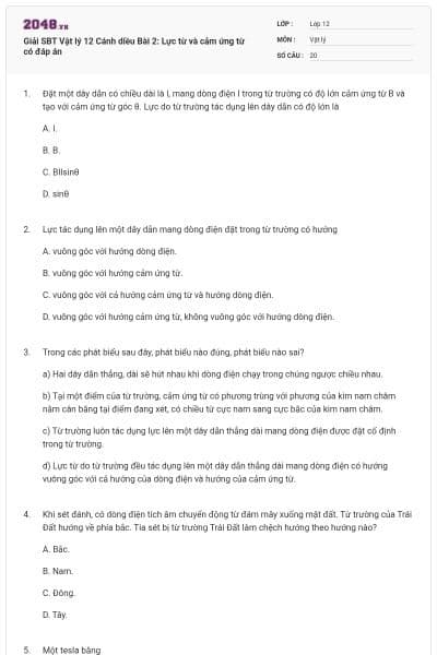 Giải SBT Vật lý 12 Cánh diều Bài 2: Lực từ và cảm ứng từ có đáp án