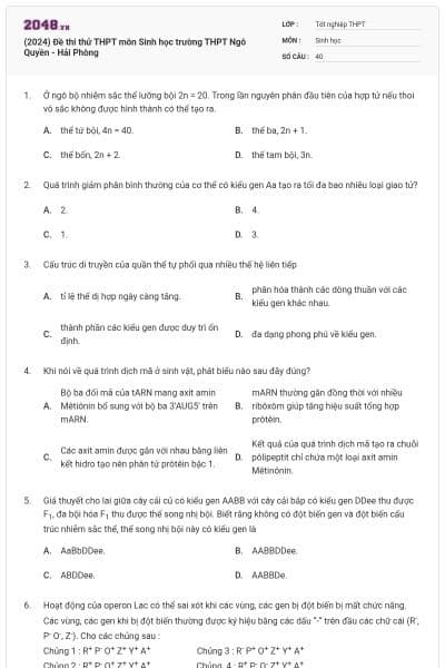 (2024) Đề thi thử THPT môn Sinh học trường THPT Ngô Quyền - Hải Phòng