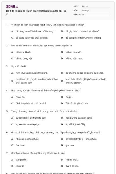 Bộ 4 đề thi cuối kì 1 Sinh học 10 Cánh diều có đáp án - Đề 3