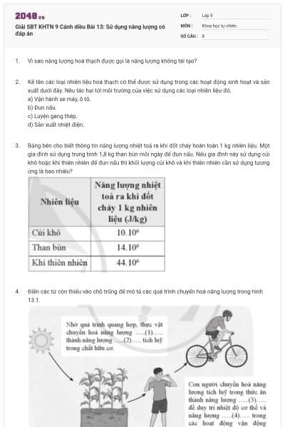 Giải SBT KHTN 9 Cánh diều Bài 13: Sử dụng năng lượng có đáp án