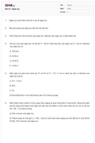 Bài 22 : Ngẫu lực