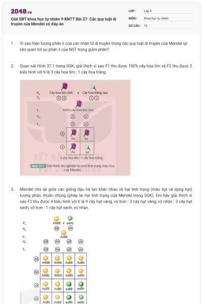 Giải SBT khoa học tự nhiên 9 KNTT Bài 37: Các quy luật di truyền của Mendel có đáp án