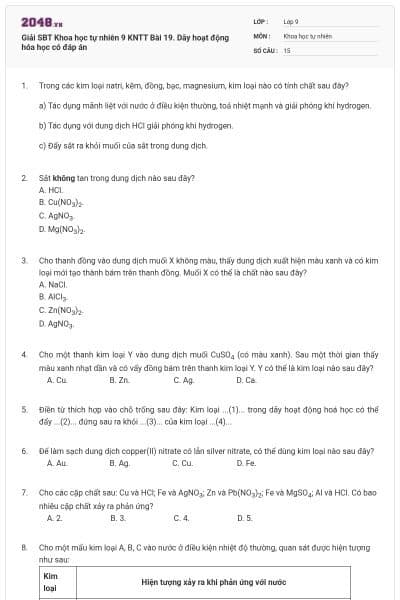 Giải SBT Khoa học tự nhiên 9 KNTT Bài 19. Dãy hoạt động hóa học có đáp án