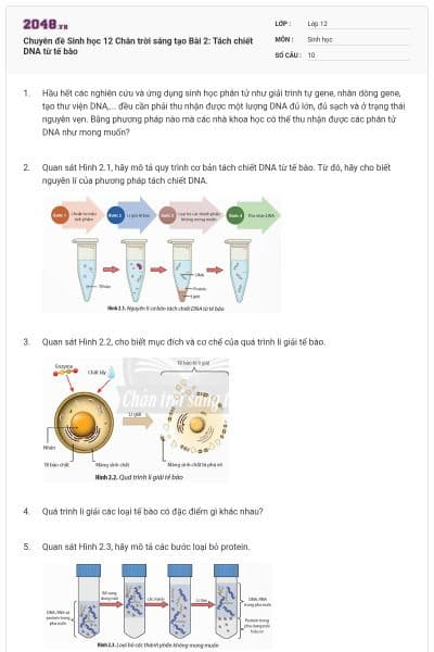 Chuyên đề Sinh học 12 Chân trời sáng tạo Bài 2: Tách chiết DNA từ tế bào