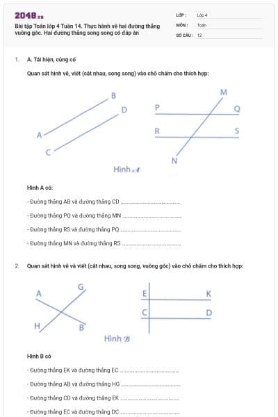Bài tập Toán lớp 4 Tuần 14. Thực hành vẽ hai đường thẳng vuông góc. Hai đường thẳng song song có đáp án