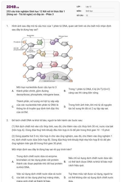 253 câu trắc nghiệm Sinh học 12 Kết nối tri thức Bài 1 (Đúng sai - Trả lời ngắn) có đáp án - Phần 3