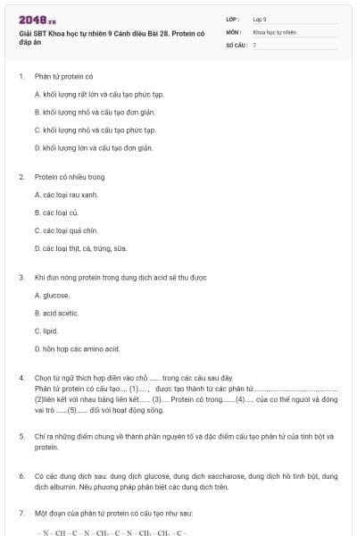 Giải SBT Khoa học tự nhiên 9 Cánh diều Bài 28. Protein có đáp án