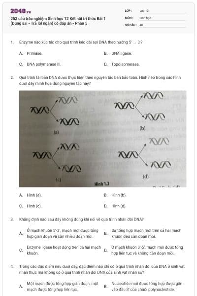 253 câu trắc nghiệm Sinh học 12 Kết nối tri thức Bài 1 (Đúng sai - Trả lời ngắn) có đáp án - Phần 5