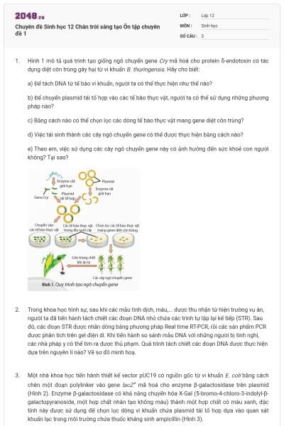 Chuyên đề Sinh học 12 Chân trời sáng tạo Ôn tập chuyên đề 1