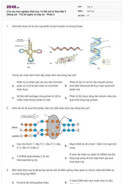316 câu trắc nghiệm Sinh học 12 Kết nối tri thức Bài 2 (Đúng sai - Trả lời ngắn) có đáp án - Phần 6