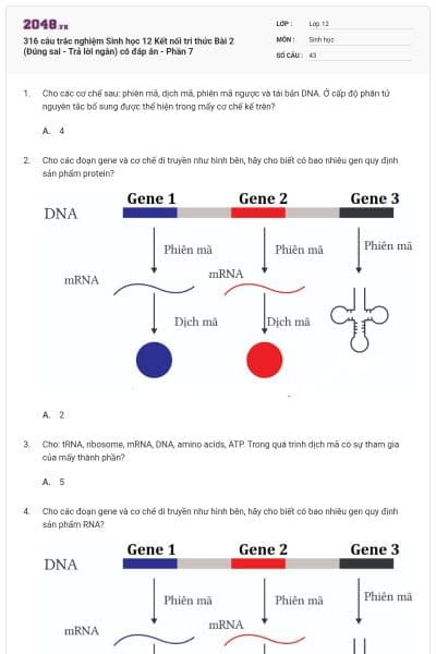 316 câu trắc nghiệm Sinh học 12 Kết nối tri thức Bài 2 (Đúng sai - Trả lời ngắn) có đáp án - Phần 7