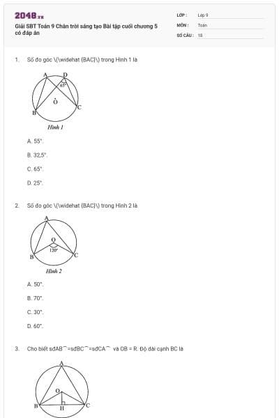 Giải SBT Toán 9 Chân trời sáng tạo Bài tập cuối chương 5 có đáp án