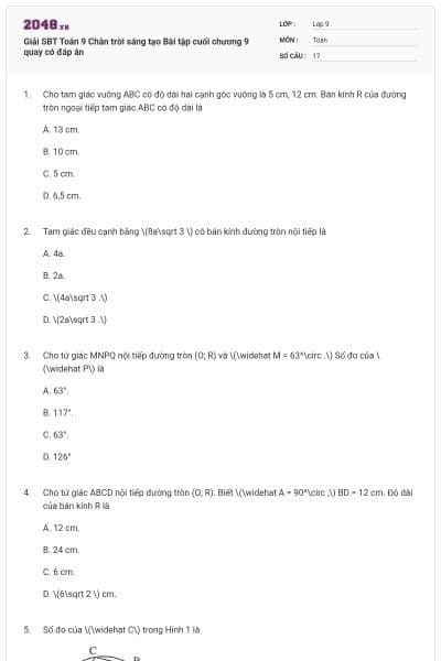 Giải SBT Toán 9 Chân trời sáng tạo Bài tập cuối chương 9 quay có đáp án