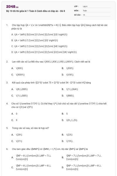 Bộ 10 đề thi giữa kì 1 Toán 6 Cánh diều có đáp án - Đề 8