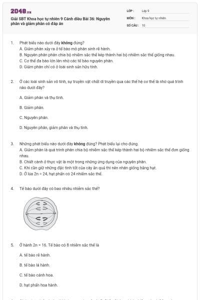 Giải SBT Khoa học tự nhiên 9 Cánh diều Bài 36: Nguyên phân và giảm phân có đáp án