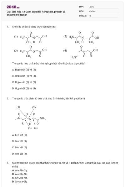 Giải SBT Hóa 12 Cánh diều Bài 7: Peptide, protein và enzyme có đáp án