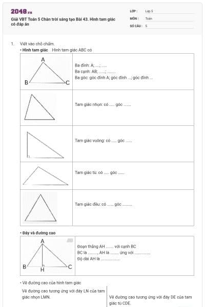Giải VBT Toán 5 Chân trời sáng tạo Bài 43. Hình tam giác có đáp án