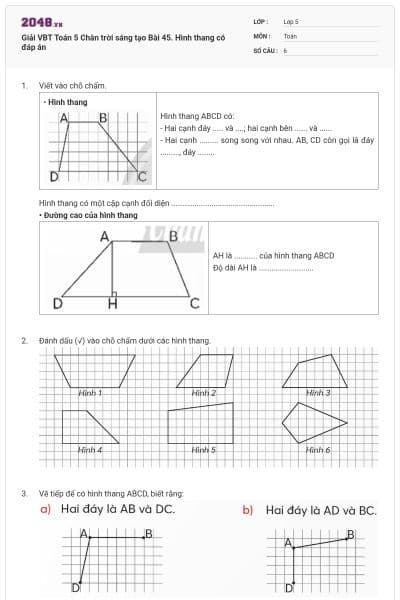 Giải VBT Toán 5 Chân trời sáng tạo Bài 45. Hình thang có đáp án