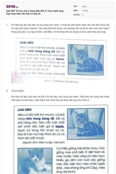 Giải SBT Tin học lớp 5 Cánh diều Bài 5: Thực hành tổng hợp soạn thảo văn bản có đáp án