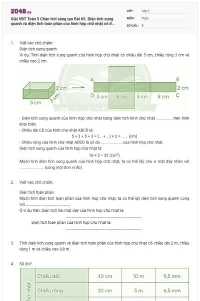 Giải VBT Toán 5 Chân trời sáng tạo Bài 65. Diện tích xung quanh và diện tích toàn phần của hình hộp chữ nhật có đáp án