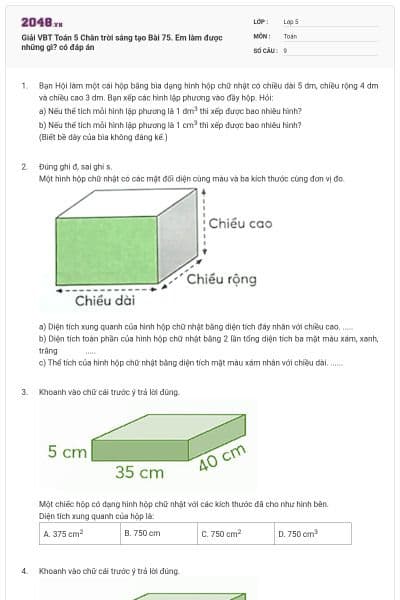 Giải VBT Toán 5 Chân trời sáng tạo Bài 75. Em làm được những gì? có đáp án