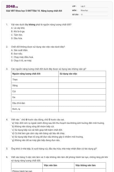 Giải VBT Khoa học 5 KNTTBài 10. Năng lượng chất đốt