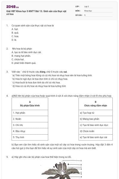 Giải VBT Khoa học 5 KNTT Bài 13. Sinh sản của thực vật có hoa