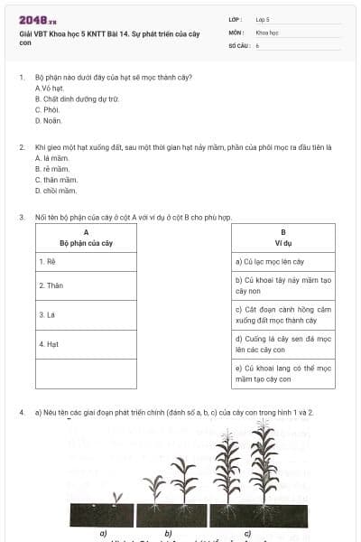 Giải VBT Khoa học 5 KNTT Bài 14. Sự phát triển của cây con