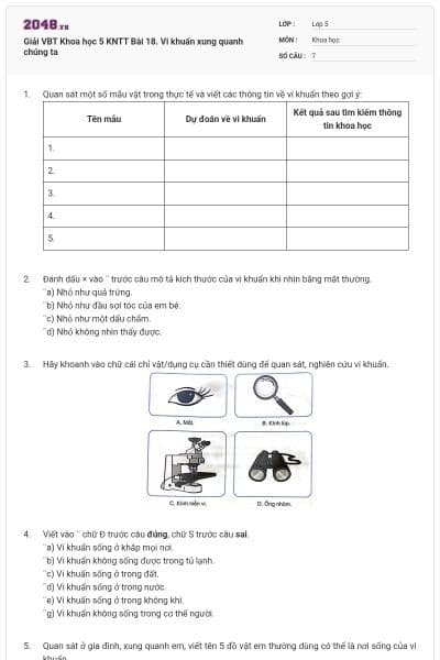 Giải VBT Khoa học 5 KNTT Bài 18. Vi khuẩn xung quanh chúng ta