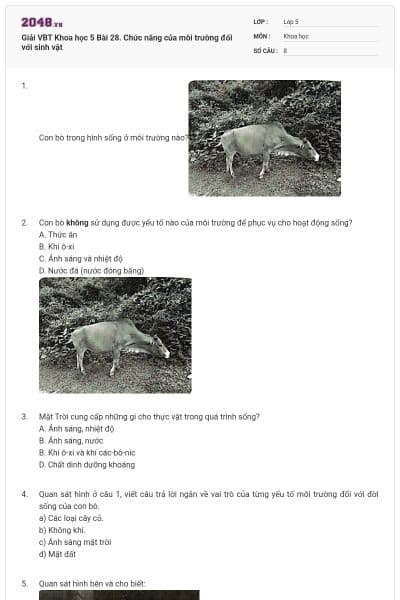 Giải VBT Khoa học 5 Bài 28. Chức năng của môi trường đối với sinh vật