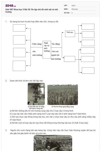Giải VBT Khoa học 5 Bài 30: Ôn tập chủ đề sinh vật và môi trường