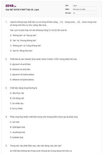 Giải SBT KHTN 9 KNTT Bài 28. Lipid