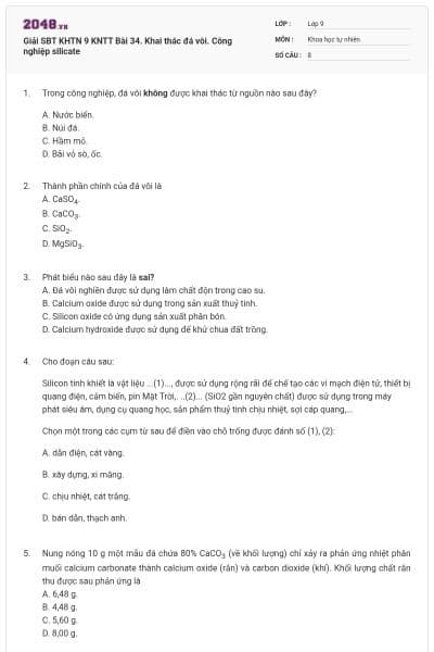 Giải SBT KHTN 9 KNTT Bài 34. Khai thác đá vôi. Công nghiệp silicate
