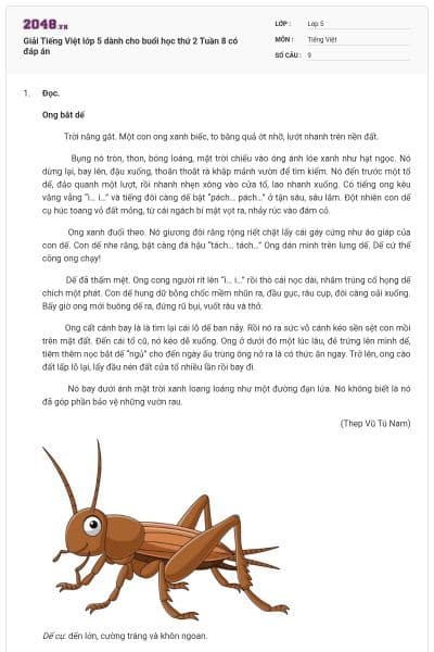 Giải Tiếng Việt lớp 5 dành cho buổi học thứ 2 Tuần 8 có đáp án